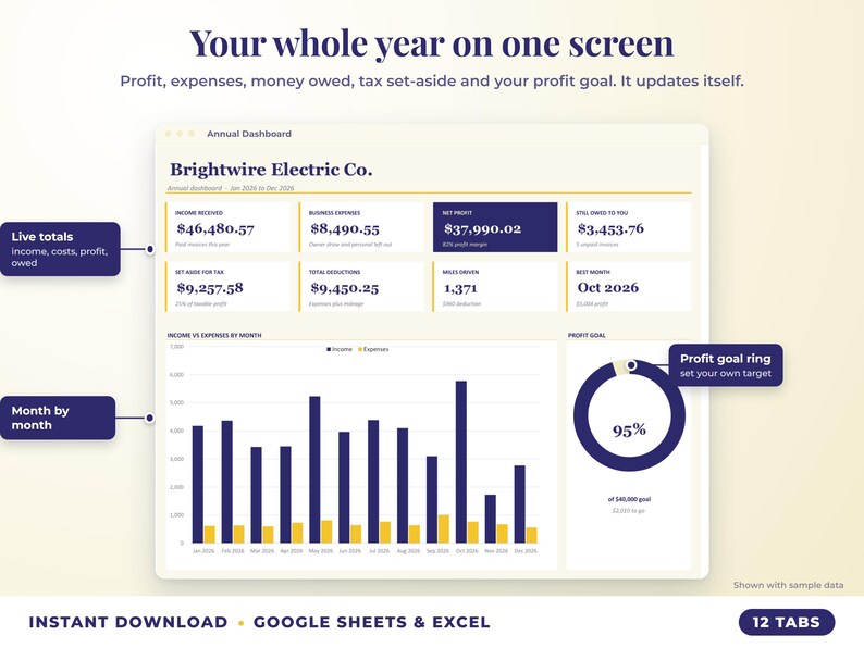 Annual dashboard with income, expenses, net profit, money owed, profit goal ring and category charts