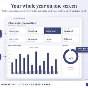 Annual dashboard with income, expenses, net profit, money owed, profit goal ring and category charts