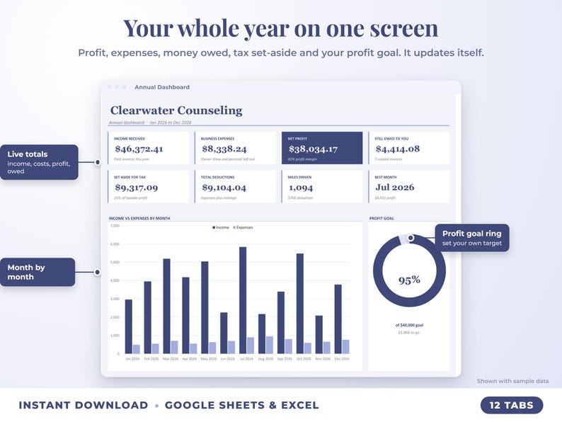 Annual dashboard with income, expenses, net profit, money owed, profit goal ring and category charts