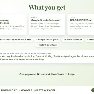 What is included: 12-tab Excel workbook, Google Sheets setup guide and read-me-first guide