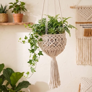 May include: A cream-coloured macrame plant hanger featuring an intricate knotted pattern and a long, thick tassel at the bottom. The hanger holds a variety of green plants, including trailing ivy, small ferns, and succulents, suspended by cords.
