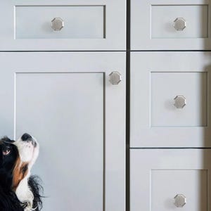 Op de afbeelding: Een set achthoekige kastknoppen van geborsteld nikkel, gemonteerd op lichtgrijze kastdeuren en lades in shaker-stijl. Het beslag heeft een platte, veelzijdige geometrische vorm met een metallic afwerking voor een strakke uitstraling.