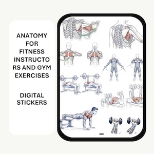 May include: A digital sticker sheet featuring anatomical illustrations of human figures performing various gym exercises. The text reads ANATOMY FOR FITNESS INSTRUCTORS AND GYM EXERCISES DIGITAL STICKERS. The figures show muscle engagement during movements.