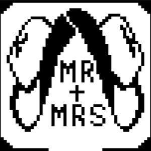 Mr and Mrs c2c graphgan pattern graph and written color and block count included