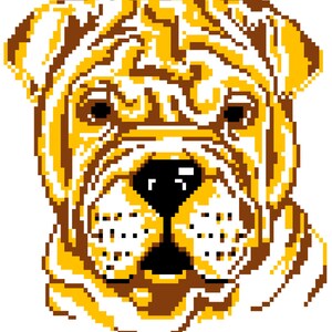 SHAR PEI c2c graph pattern with row by row color counted instructions, crochet pattern, graph pattern, c2c graph, c2c crochet afghan pattern