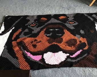 ROTTWEILER C2C graph and pattern. row by row instructions