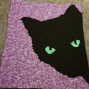 CAT EYES C2C Graph afghan pattern with written row by row instructions, c2c crochet pattern, afghan pattern, crochet pattern, c2c graph