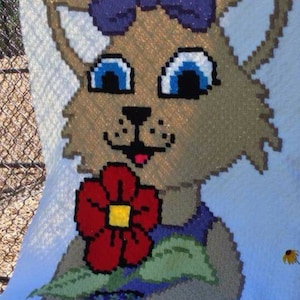 Country Girl Kitty C2C graph pattern with written row by row instructions