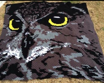 LARGE OWL C2C graph pattern with written instructions color chart, Mini c2c or Regular c2c