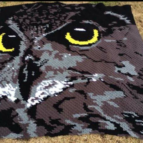 LARGE OWL C2C graph pattern with written instructions color chart, Mini c2c or Regular c2c