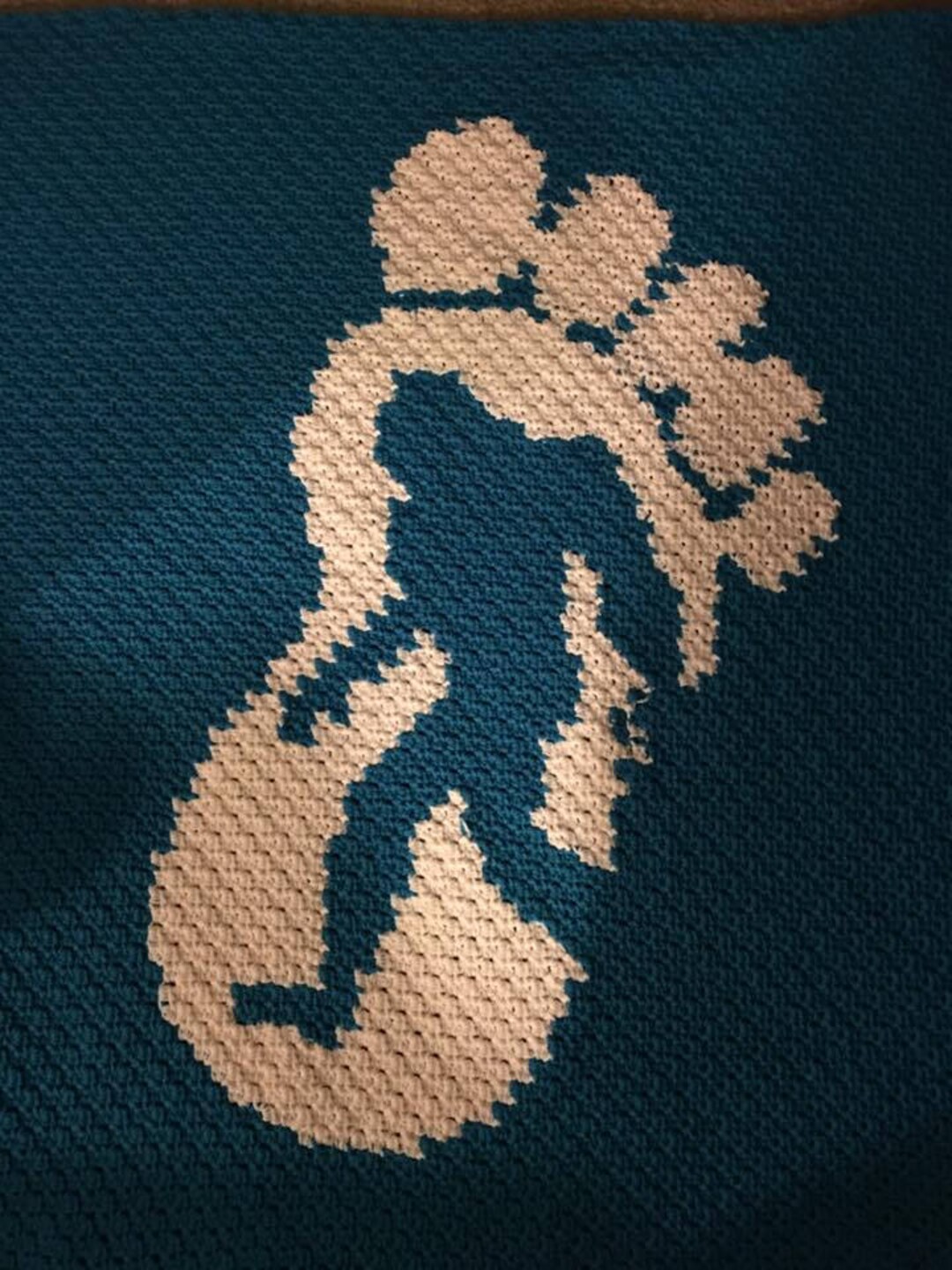 BIGFOOT C2C Graph Afghan Pattern Written Row X Row