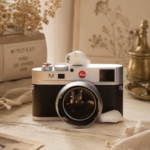 Tapa para zapata de flash, accesorio para cámara, tapa creativa para montura de flash, regalo decorativo para cámaras Fujifilm, Sony, Canon y Nikon.
