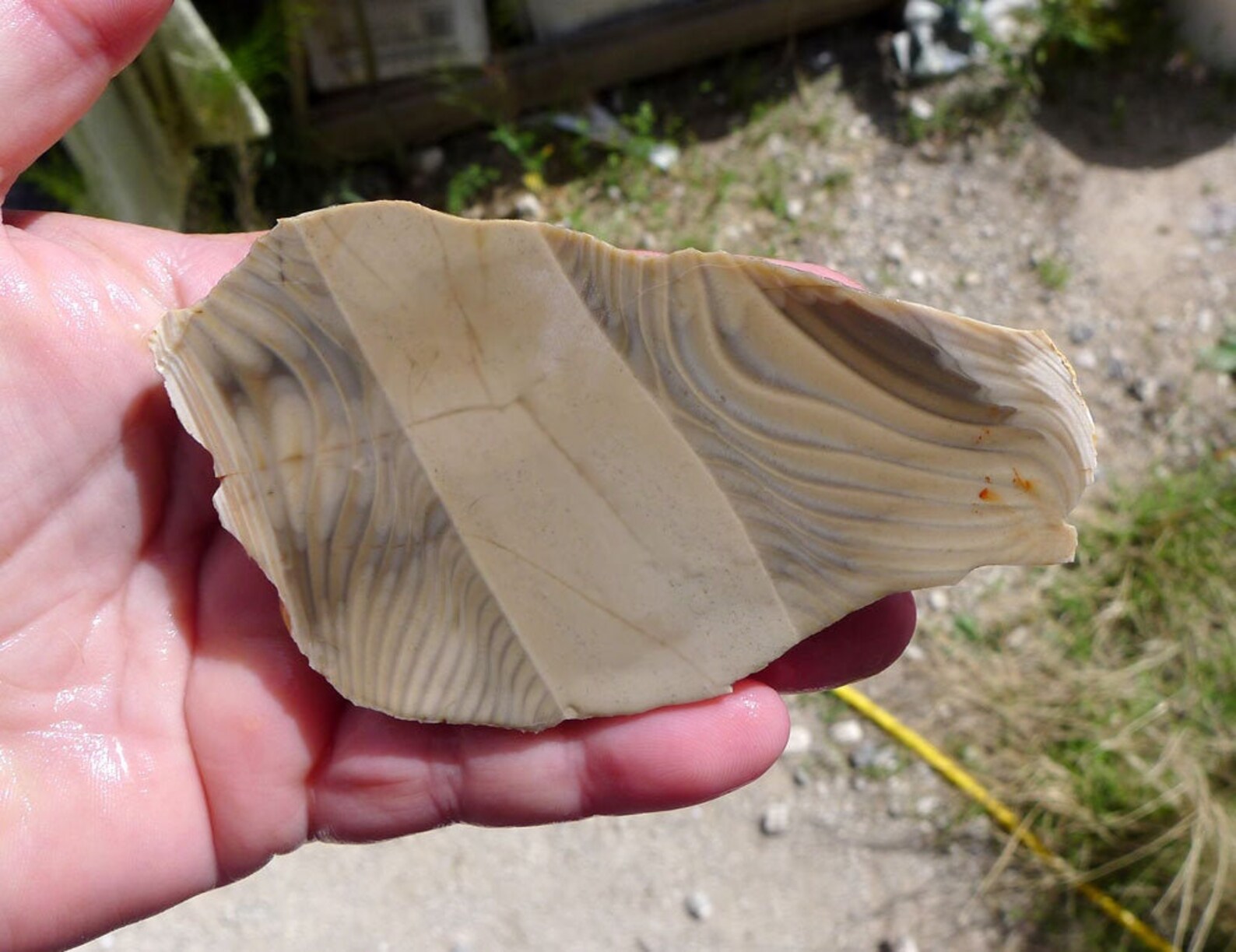 Polish Flint Slab Natural Polish Flint Slice Raw Flint Stone Etsy