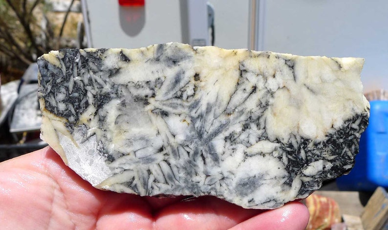 Natural Pinolith Slice Pinolite Slab 117x56x7mm Lapidary Rough Cabochon Supply Raw Crystal Collector