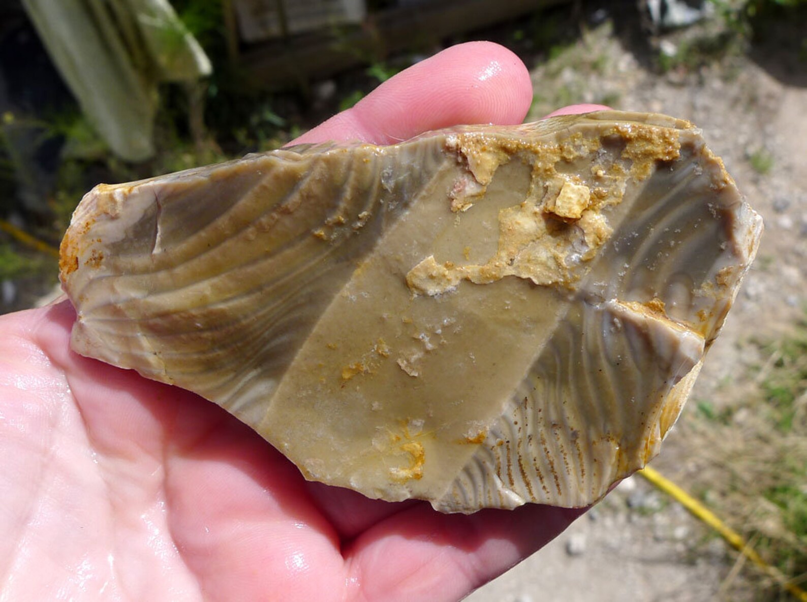 Polish Flint Slab Natural Polish Flint Slice Raw Flint Stone Etsy