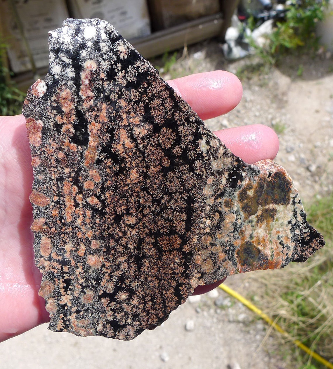 Flower Obsidian Slab Natural Flowering Obsidan Slice Etsy