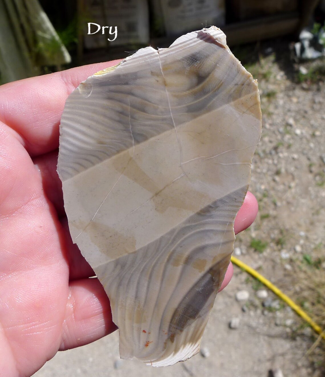 Polish Flint Slab Natural Polish Flint Slice Raw Flint Stone Etsy