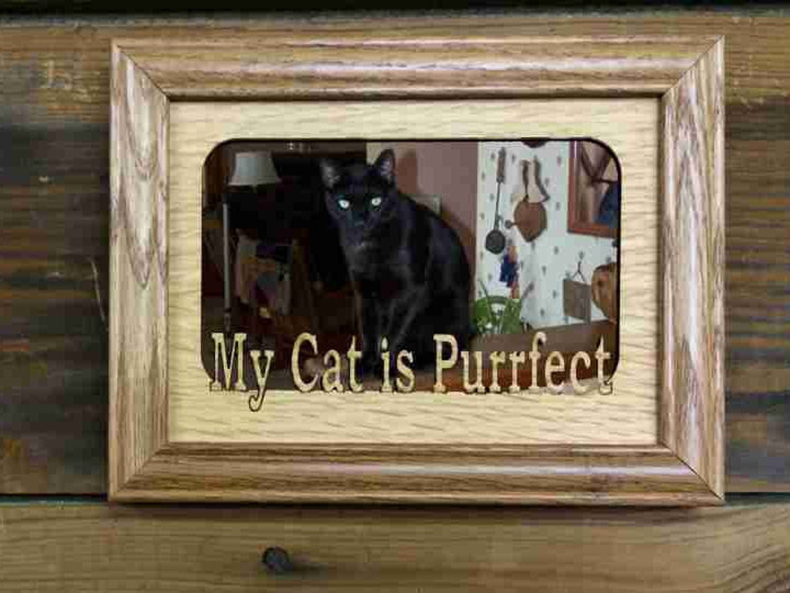 My Cat is Purrfect Picture Frame Holds 4x6 Photo Etsy UK