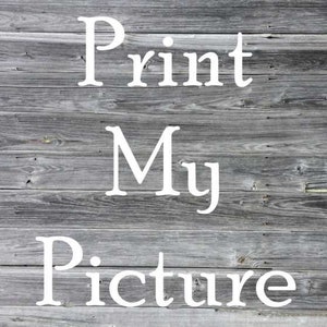 Print My Picture Fee