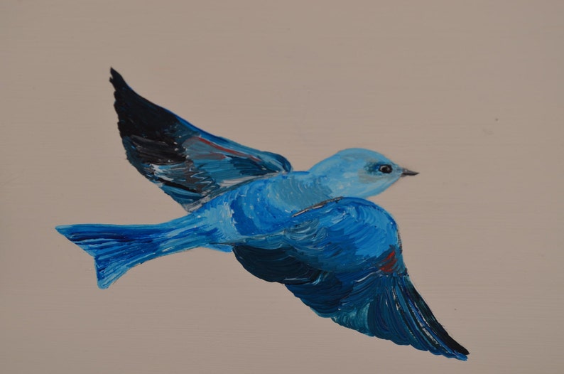 May include: A blue bird with black wing feathers in flight against a light beige background.