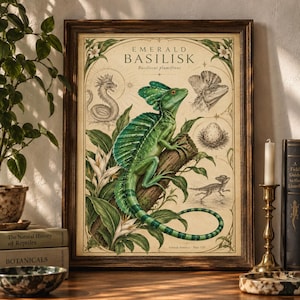 May include: A framed vintage-style botanical and zoological print titled EMERALD BASILISK Basiliscus plumifrons. The artwork features a central green lizard on a branch, surrounded by smaller sketches of a lizard, an egg, and a serpent, with floral accents.