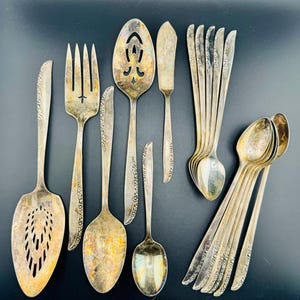 Vintage 1948 Brittany Rose Flatware Ice Tea Spoons Meat Fork Cake Server Wm A Rogers Silverware Fascination Silverplate Oneida Ltd 17 Pcs