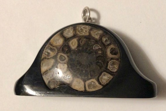 Unusual Huge Mid 1800s Victorian Ammonite Fossil … - image 4
