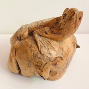 Handmade Artisan One of a Kind Hand Carved Burl Walnut Maple Frog on Rock Primitive Sculpture Statue Carving Burled Wood Knot