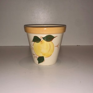 Puede incluir: Un pequeño macetero de cerámica blanca con una manzana amarilla y hojas verdes pintadas en el lateral. El macetero tiene un borde marrón.