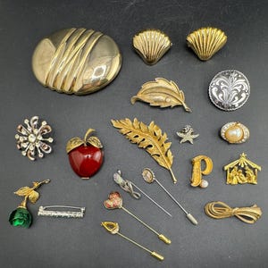 Può includere: Una collezione di spille e spilli in metallo assortiti con varie forme, tra cui un grande ovale, conchiglie, una foglia, una mela rossa, una stella, una lettera P, un presepe, un fiore verde e un fiocco, con finiture color oro e argento.