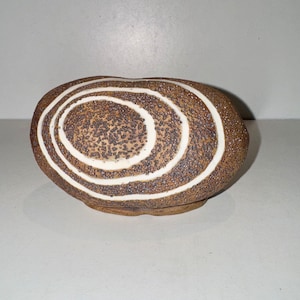 May include: A brown ceramic vase with white concentric circles, resembling a stone.