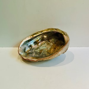 Large Iridescent Abalone Shell Dish Coastal Beach House Trinket Tray Seashell Mother of Pearl Lustrous Ashtray Catchall Nautical Decor