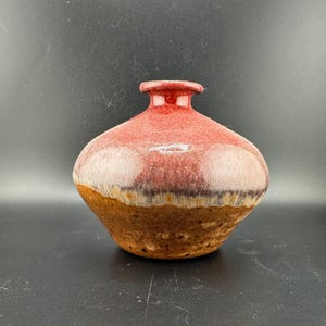 以下が含まれることがあります： 赤と茶色のセラミック製の壺で、幅広の丸い底と細い首をしています。壺には斑点のある釉薬が施されており、中央に白と茶色の帯があります。