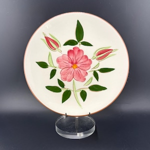 May include: A white ceramic plate with a hand-painted floral design. The plate features a large pink flower in the center, surrounded by green leaves and red flower buds. The rim of the plate has a brown border. The plate is displayed on a clear stand.