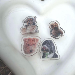 Custom Acrylic Clog Charm, Personalized Dog Photo Shoe Accessory (2.54cm),Gift for Pet Lovers