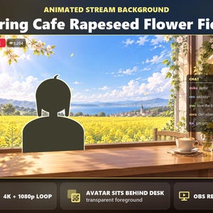 May include: An animated stream background titled Spring Cafe Rapeseed Flower Field featuring a wooden desk, a coffee cup, and a window view of a yellow flower field under a blue sky. Includes a silhouette avatar placeholder and a chat box overlay.