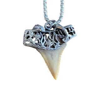 Vintage Shark Tooth Sterling Silver Pendant with Chain & Detailed Marine Life Imagery