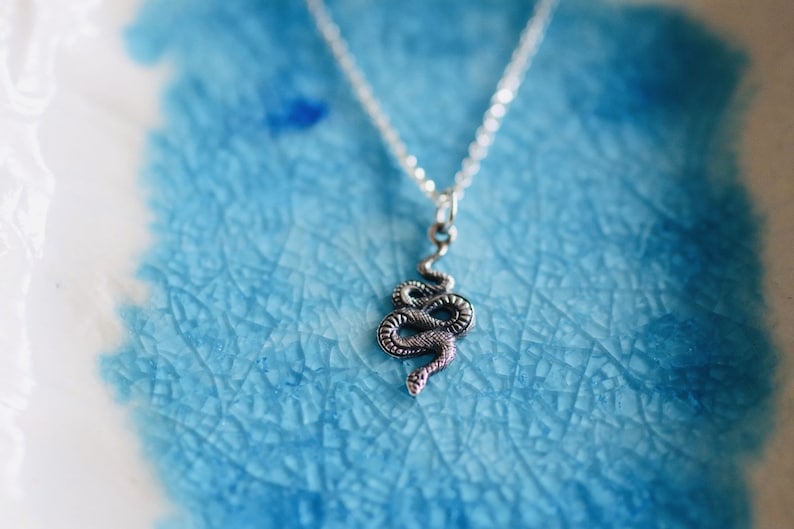 Sterling Silver Snake Necklace Snake Charm Silver Snake Snake Jewelry Charm Necklace Snakes Snake Lover Gift image 1