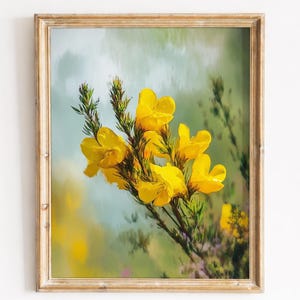 Könnte beinhalten: Ein gerahmter Kunstdruck mit einer Ansammlung leuchtend gelber Ginsterblüten an dünnen grünen Stielen. Das Bild befindet sich in einem hellen Holzrahmen mit sichtbarer Maserung vor einem weichen, verschwommenen, malerischen Hintergrund in Grün und Gelb.