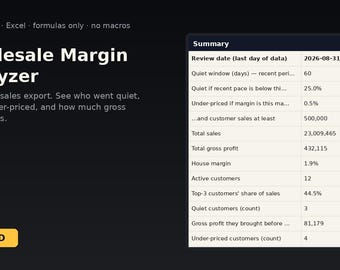 Wholesale Margin Analyzer | Instant Download | Excel Template