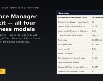 Finance Manager Toolkit - all four business models | Instant Download | Excel Template