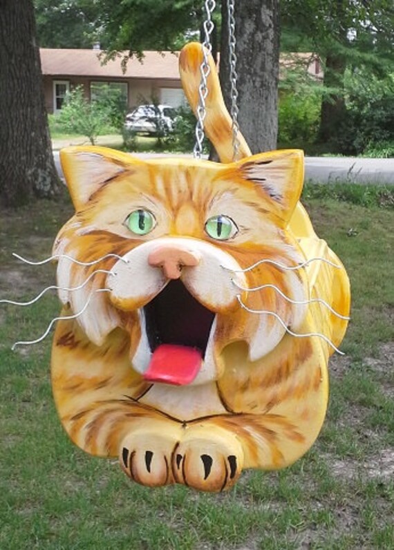 cat bird house