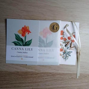 Könnte beinhalten: Ein Canna Lily Samentütchen-Set mit einer botanischen Illustration einer orangefarbenen Blume mit grünen Blättern, dem Text Canna Lily Canna Indica Seen Known Understood, einem goldenen G-Logo und einem Anhänger mit orangefarbenen Blüten.