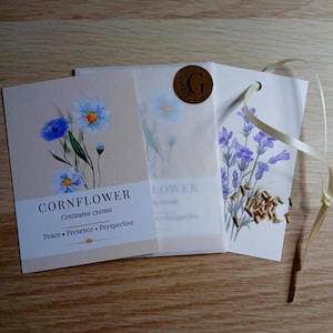 Christian Encouragement Gift, [Blue Cornflower] Scripture Seeds with Gift Tag, Faith Pocket Keepsake, Thinking of You Card Alternative