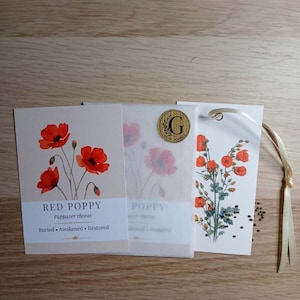 Könnte beinhalten: Ein Set aus drei Artikeln, bestehend aus einer Karte mit roten Mohnblumen-Illustrationen und dem Text RED POPPY Papaver rhoeas Buried Awakened Restored, einem transparenten Pergaminumschlag mit goldenem G-Siegel und einem weißen Anhänger.