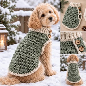 Puede incluir: Un suéter de ganchillo para perro en color verde salvia con cuello y bordes acanalados en color crema. La prenda incluye dos botones de madera en el cierre lateral. La textura presenta un patrón de puntos denso y uniforme.