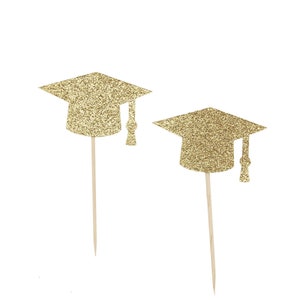 Graduation Cupcake Toppers - Graduation Cap Cupcake Toppers - Custom Graduation Party - Class of 2019 Cupcake Toppers - School Colors