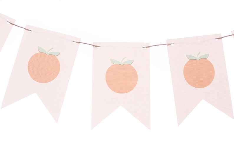 Peach Flag Banner / Peach Garland Etsy