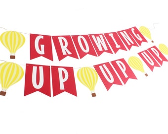 Hot Air Balloon Birthday Banner - Hot Air Balloon Baby Shower -  Hot Air Balloon Party Decorations