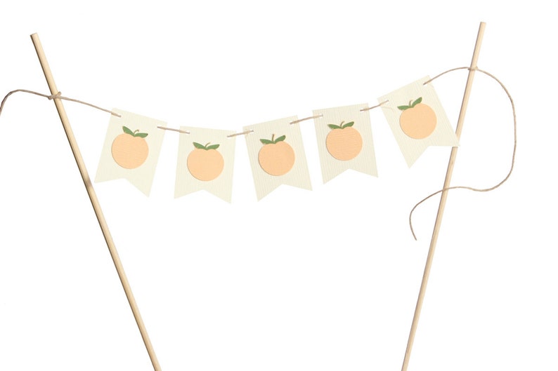 Peach Flag Banner / Peach Garland Etsy